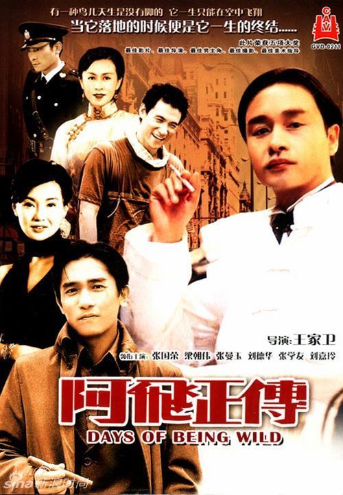 哪里可以制作阿尔巴尼亚驾驶证